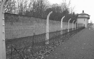 Exploring the Dark Past: Must-Visit Concentration Camp Tours Near Berlin